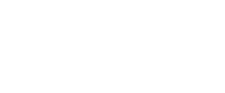 MLSE Logo