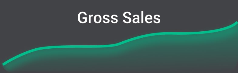 Example Campaign Gross Sales Graph