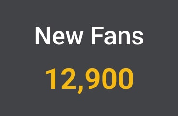 Example Campaign New Fans Statistic